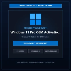 Windows 11 Pro OEM Activation Key (1 PC) | Budget Edition - 30 Days Warranty